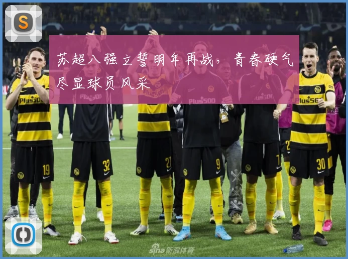 苏超八强立誓明年再战，青春硬气尽显球员风采