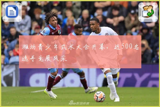 潍坊青少年武术大会开幕，近500名选手竞展风采
