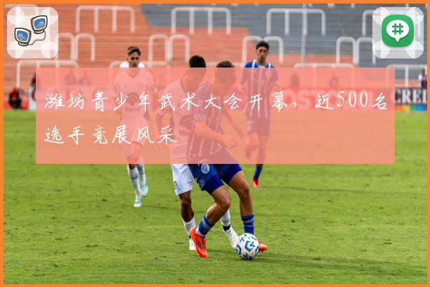 潍坊青少年武术大会开幕，近500名选手竞展风采