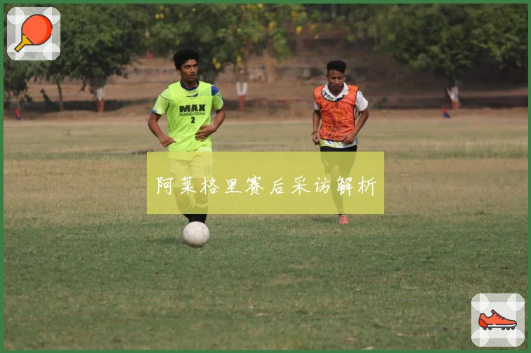 阿莱格里赛后采访解析